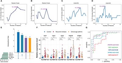 Network analyses of upper and lower airway transcriptomes identify shared mechanisms among children with recurrent wheezing and school-age asthma